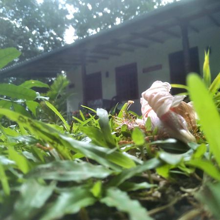 Sigiriya Hillside View Villa エクステリア 写真