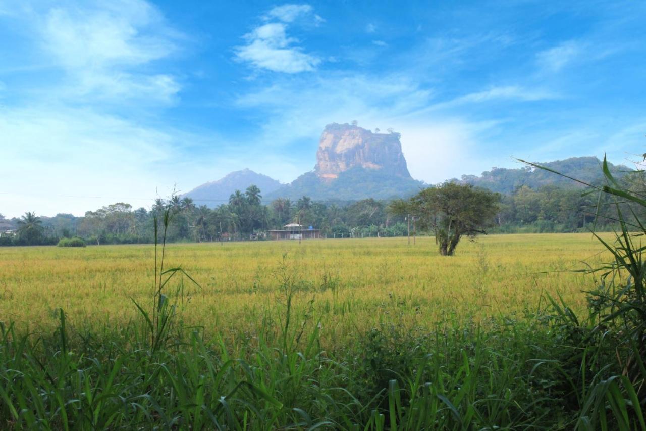 Sigiriya Hillside View Villa エクステリア 写真