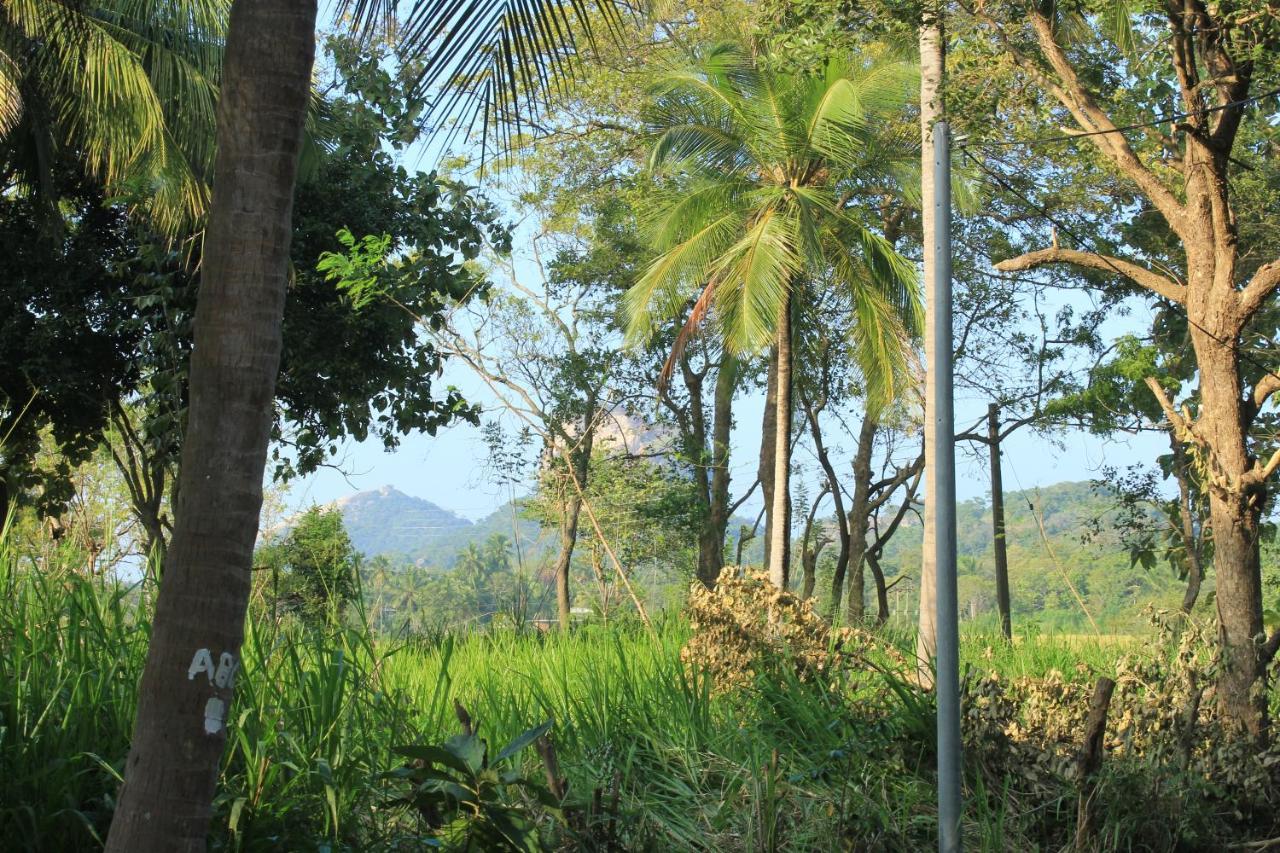 Sigiriya Hillside View Villa エクステリア 写真
