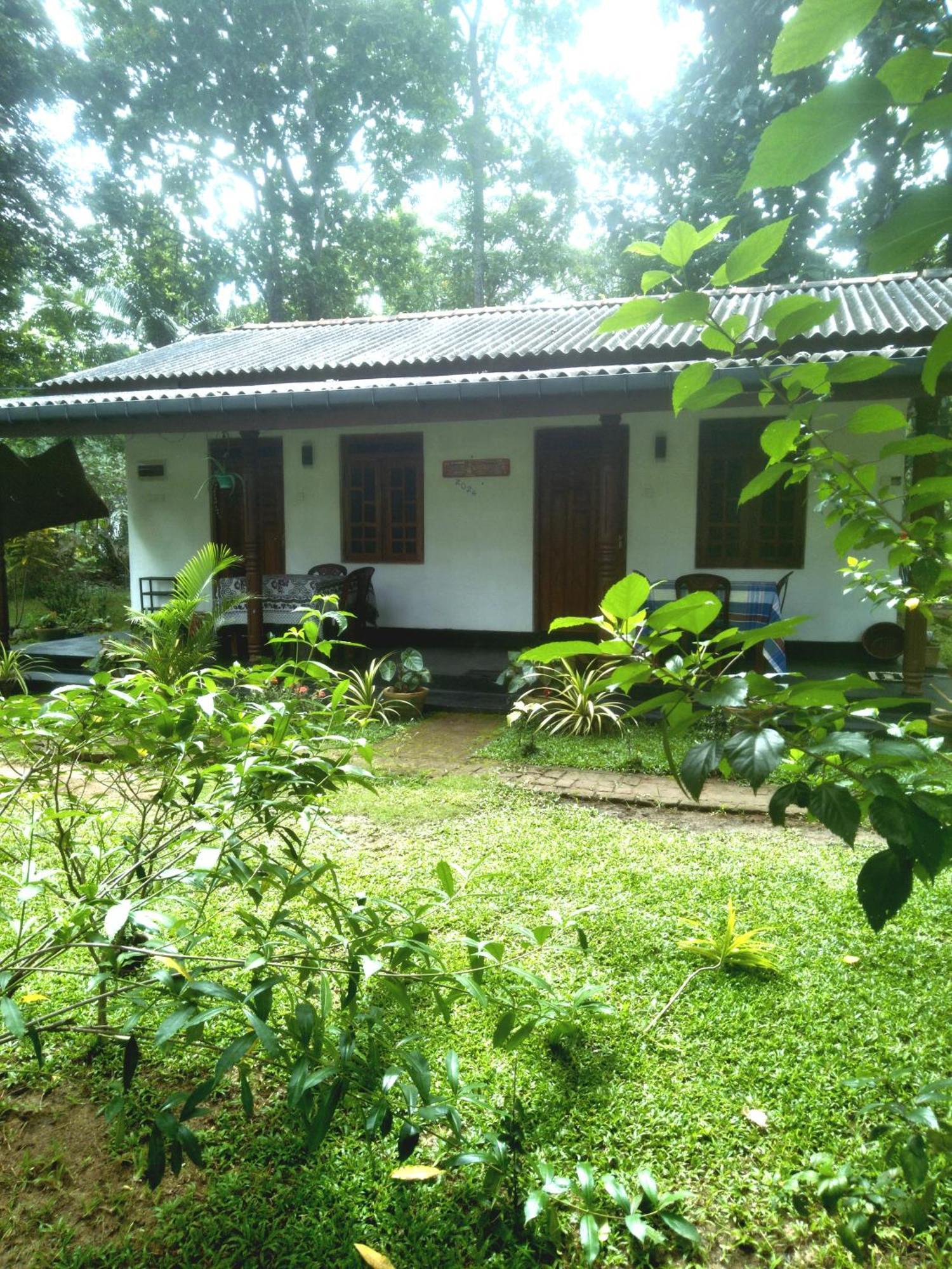 Sigiriya Hillside View Villa エクステリア 写真